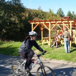 In a park and rollerblading