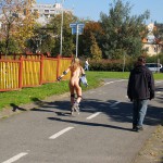 In a park and rollerblading