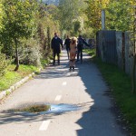 In a park and rollerblading