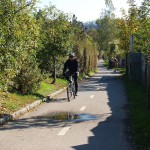 In a park and rollerblading