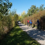 In a park and rollerblading