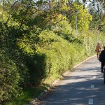 In a park and rollerblading