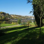 In a park and rollerblading
