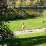 In a park and rollerblading