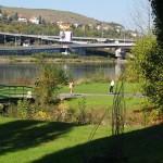 In a park and rollerblading