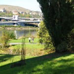 In a park and rollerblading