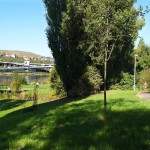 In a park and rollerblading