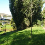 In a park and rollerblading