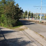 In a park and rollerblading