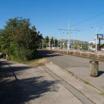In a park and rollerblading