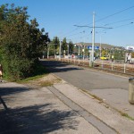 In a park and rollerblading