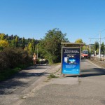 In a park and rollerblading
