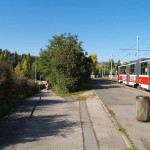 In a park and rollerblading