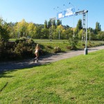 In a park and rollerblading