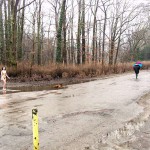 At the entrance of a park