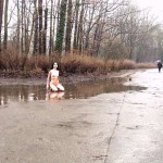 At the entrance of a park