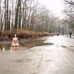 At the entrance of a park