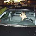 Our Euronudes workshop