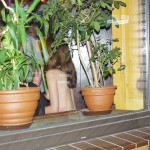 Our Euronudes workshop