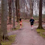 In a forest and the park next to it