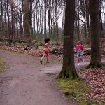 In a forest and the park next to it