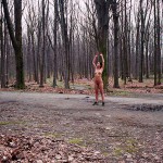 In a forest and the park next to it