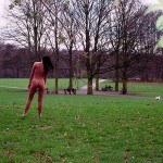 In a forest and the park next to it