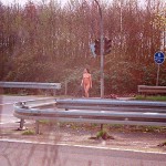 At a traffic light and zebra crossing