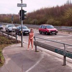 At a traffic light and zebra crossing