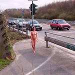 At a traffic light and zebra crossing