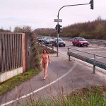 At a traffic light and zebra crossing