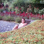 In the flower gardens