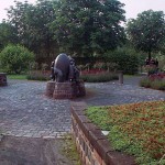 In the flower gardens