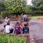 In the flower gardens