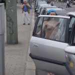 Right at the berlin television