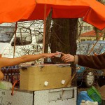 At the main entrance of the zoo