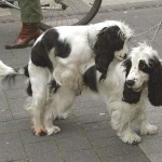 At a parade CSD 2003
