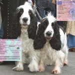 At a parade CSD 2003