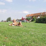 In front of a fast food