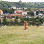 On a long walk in a huge park