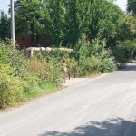 At a highway rest stop