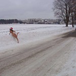 Christmas girl in the snow