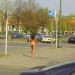 At a crossing in front of a palace