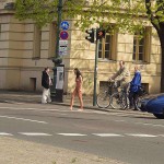 At a crossing in front of a palace