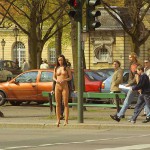 At a crossing in front of a palace