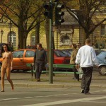 At a crossing in front of a palace