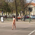 At a crossing in front of a palace