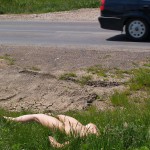 Warm up at a country road