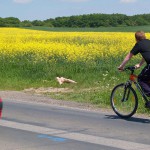 Warm up at a country road