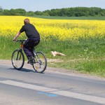 Warm up at a country road